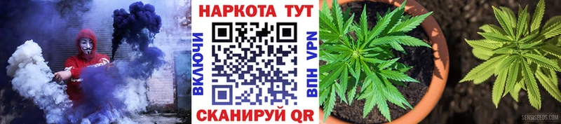 Все наркотики Севск Альфа ПВП  Cocaine  Меф  Канабис  Амфетамин  ГАШ 