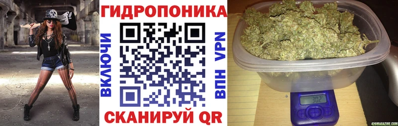 купить наркотики сайты  Севск  Бошки Шишки планчик 